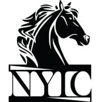 NYIC logo