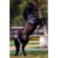 Black Horse Advisors logo