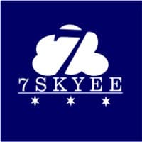 7Skyee Consultancy Private limited logo