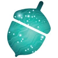 Cybernut Solutions logo