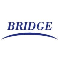 Bridge Professional Services logo