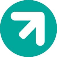Neteris Consulting logo