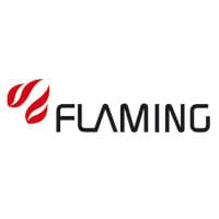 Flaming logo