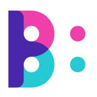 The Big Picture logo