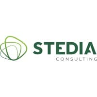 SYNEOR Consulting logo