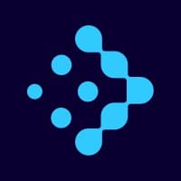 Netvise logo