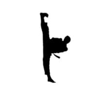 Digital Dropkick logo