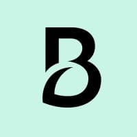 Brandmint logo