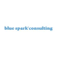 Blue Spark Creative Services logo