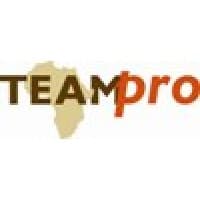 Teampro logo