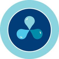 Bluetowne logo