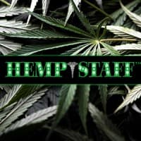 HempStaff logo