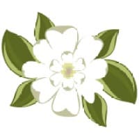 Magnolia Recruiting logo