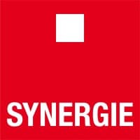 Synergie Hunt International logo