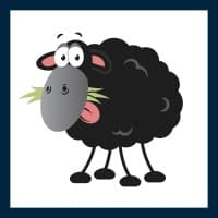 Black Sheep Support logo