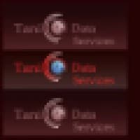 Tani Data Services logo