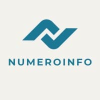 NumeroInfo IT Services logo