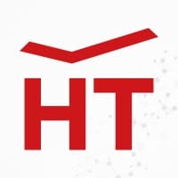 H.T. Stone Srl logo