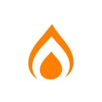Nichefire logo