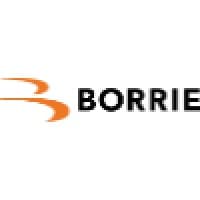 Borrie Accountants/Belastingadviseurs logo