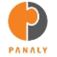 Panaly Consulting logo
