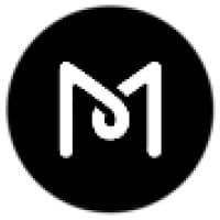 MS Web Designer logo
