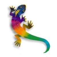 Chameleon Resumes logo