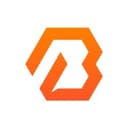 Bergwerk IT logo