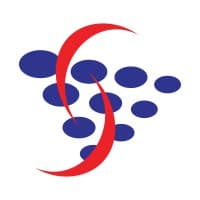 Systems Solutions logo