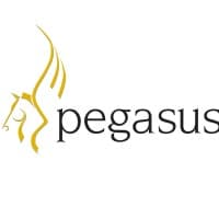 Pegasus
