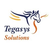 Tegasys Solutions logo