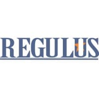 Regulus Investment and Capital Holdings logo