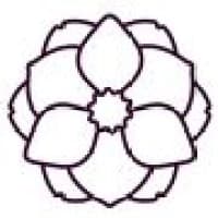 Chisholm Consulting logo
