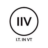 I.T. IN VT logo