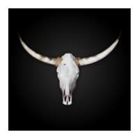 Vier fÃ¼r Texas logo