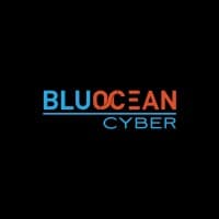 BluOcean Digital logo