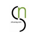 Citrus Networking Solutions Group logo