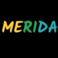 MERIDA TECH MINDS PVT logo