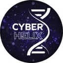 Cyberhelix Technical Solutions logo