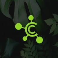 Causeway Connect logo