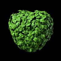 Spinach logo