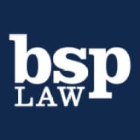 Bush Seyferth PLLC logo