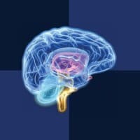 CNS Vital Signs logo