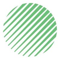 Vandis logo
