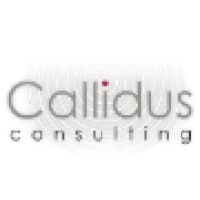 Callidus Consulting logo