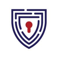 USA CYBER logo