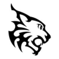 Bizhiw Information logo