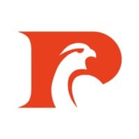 Pinnacle Search logo