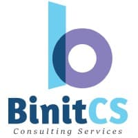 Binit Consulting and Services logo