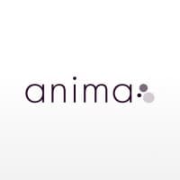 Anima Strategic Consulting logo